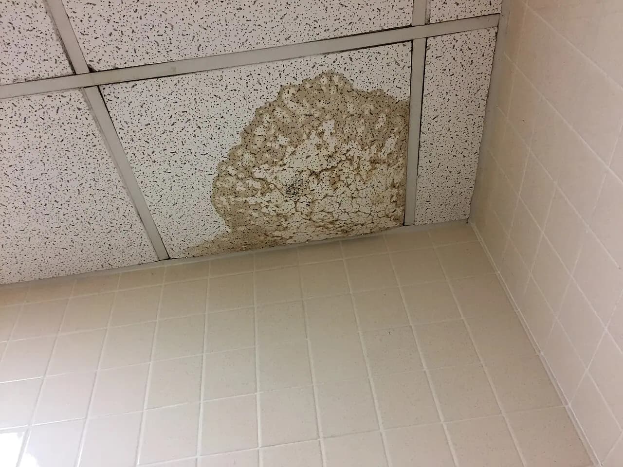 Visible water staining and damage on a ceiling