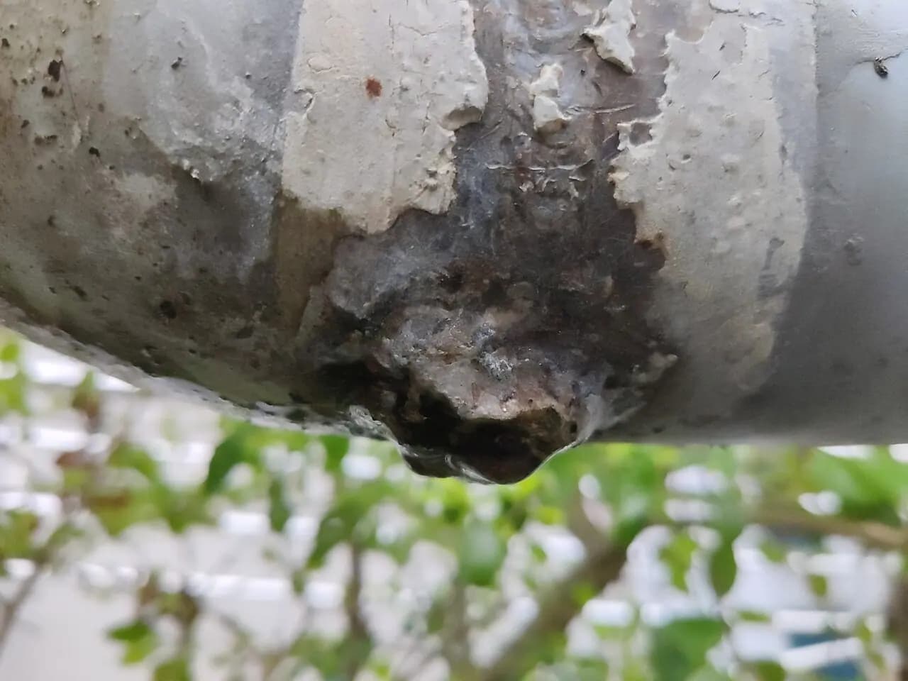 Water leaking from a corroded metal pipe